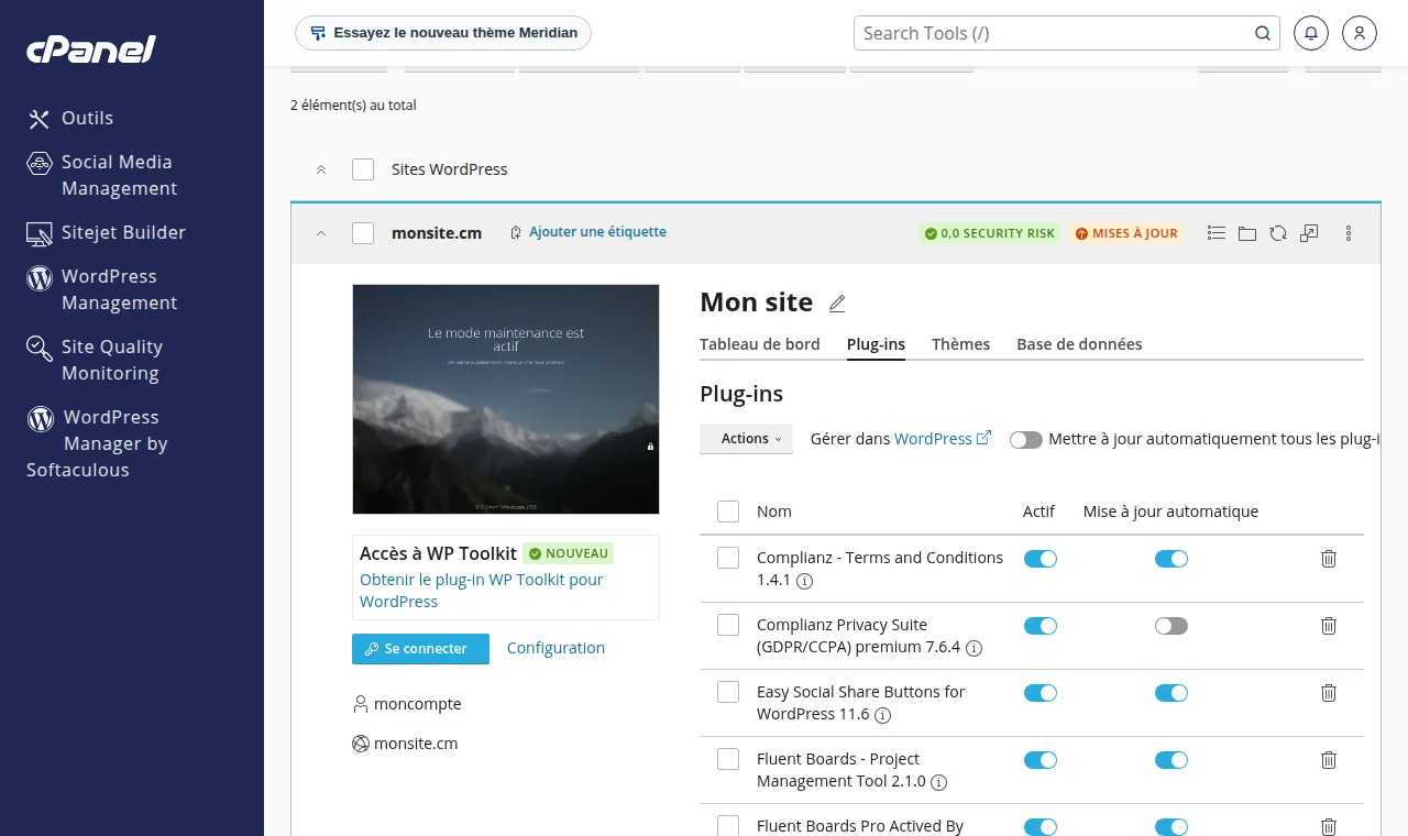 WP Toolkit dans cPanel